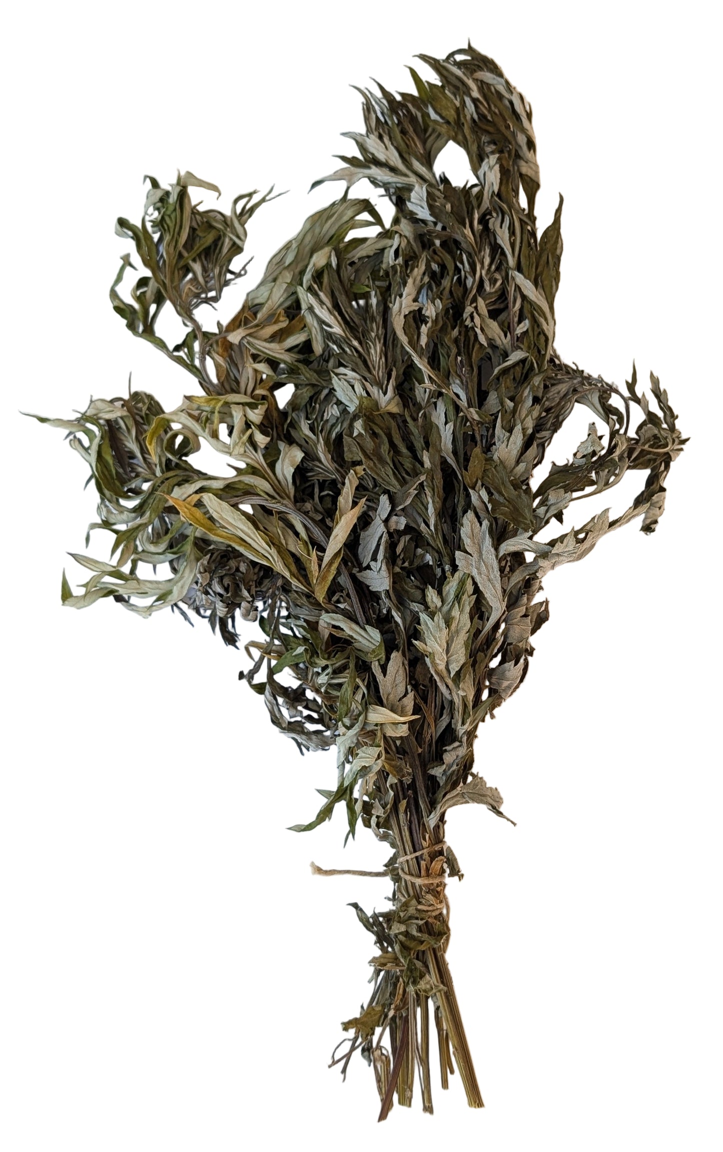 Wormwood whisk/bouquet, Tuscany herbs