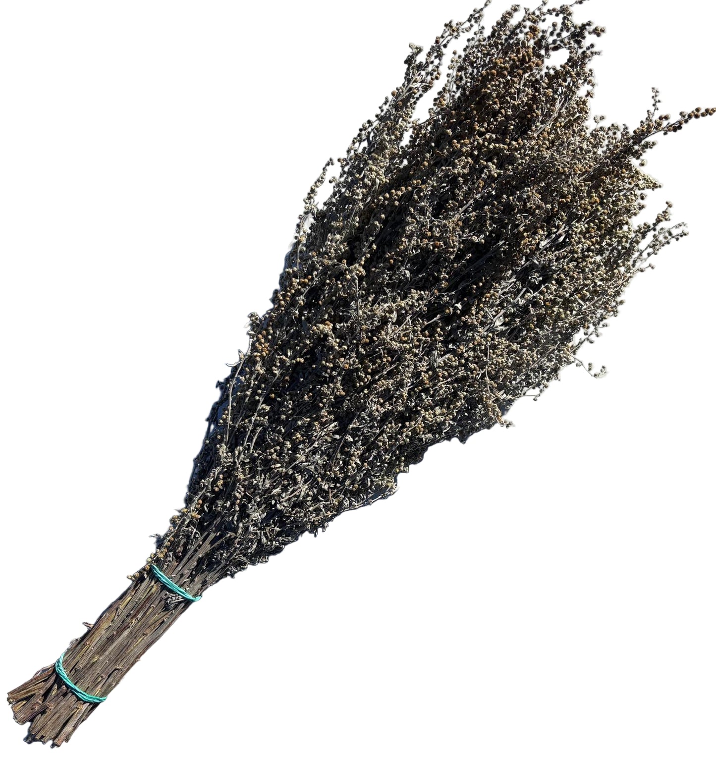 Common wormwood whisk/bouquet
