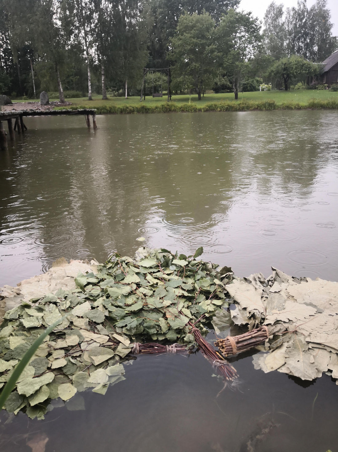 🌿 How to Properly Prepare Dried Whisks Before a Pirtis Sauna: A Comprehensive Guide for Bath Masters