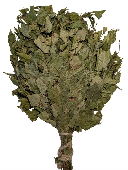 Bouquet of dried green leaves tied with twine on a white background
