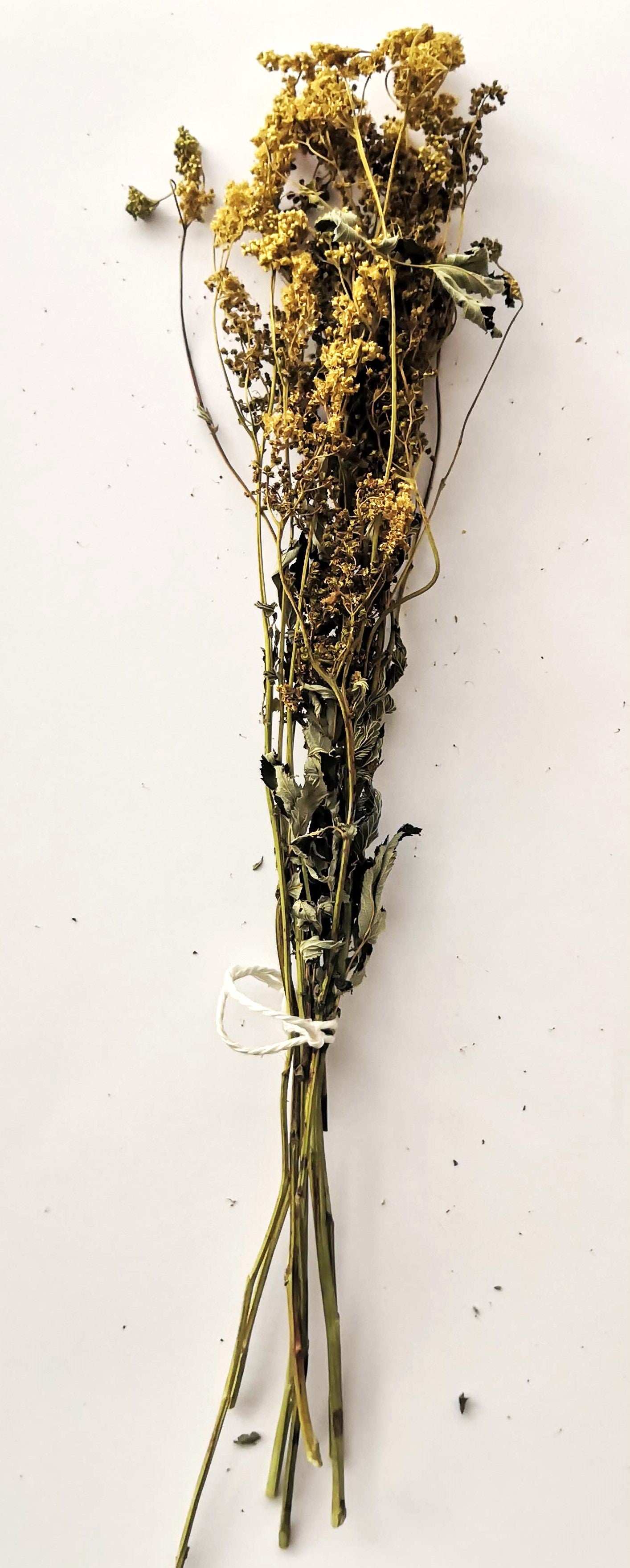 Sweet clover whisk/bouquet