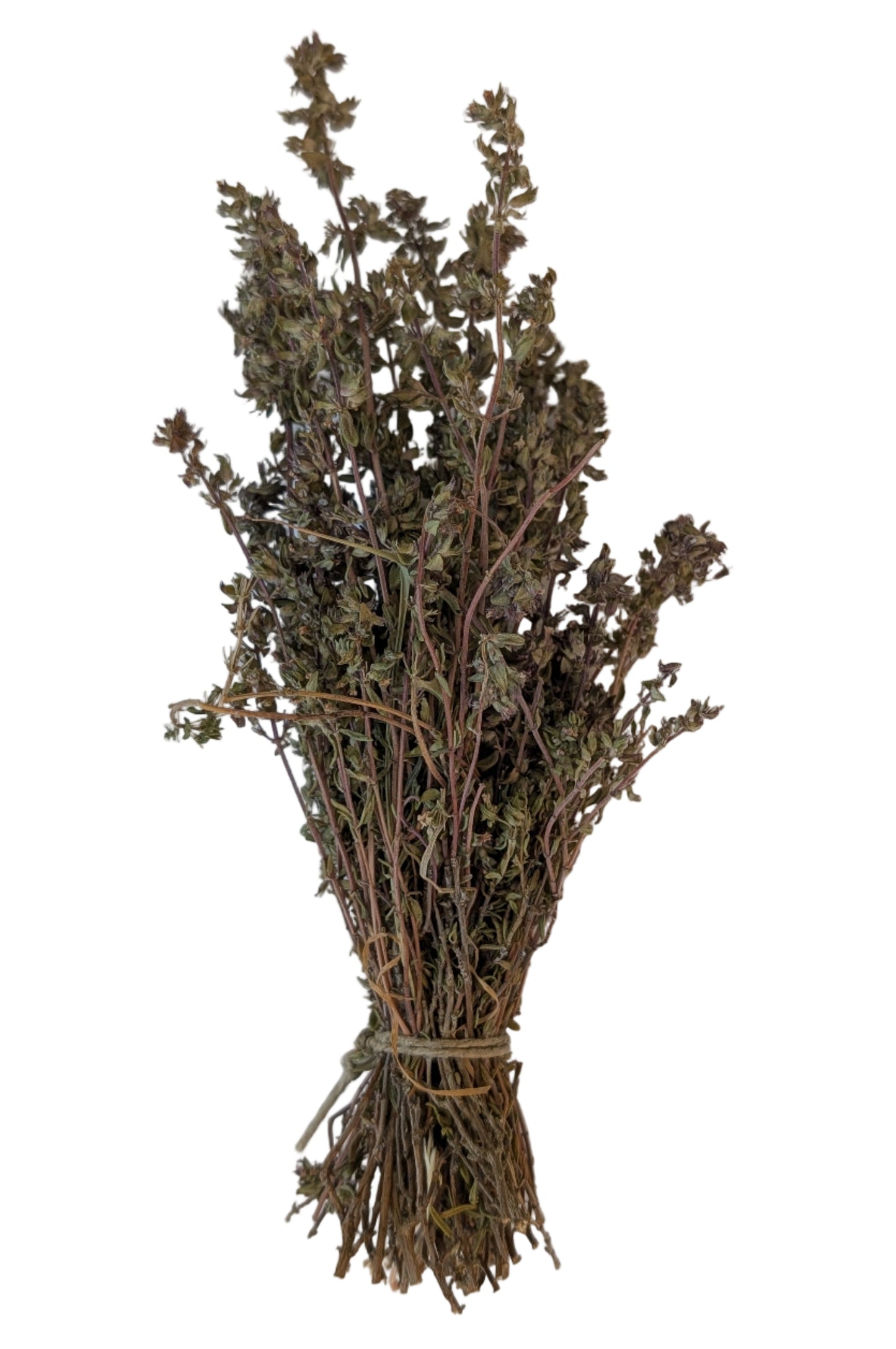 Wild Thyme whisk/bouquet, Tuscany herbs