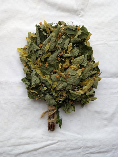 Linden whisk with blossoms