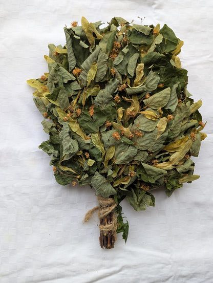 Linden whisk with blossoms
