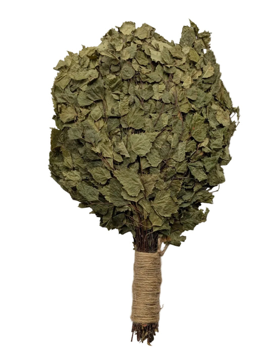 Birch whisk tied with jute twine