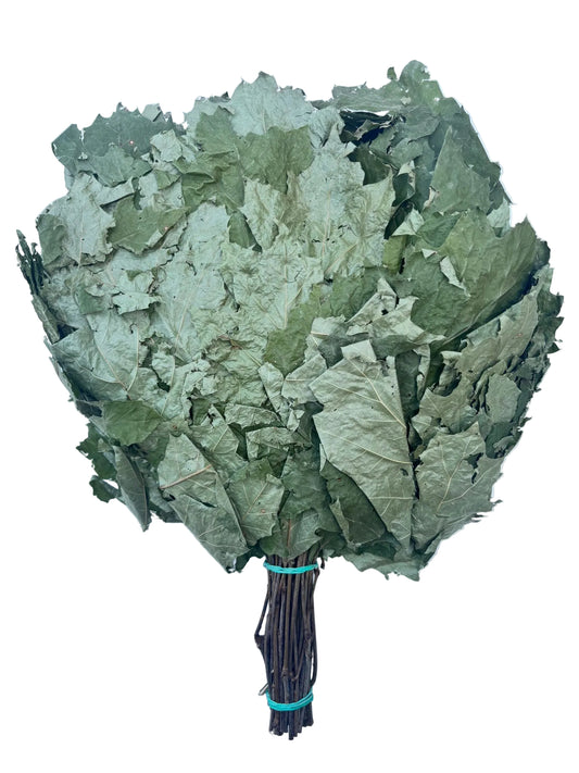 Red oak whisk soft light