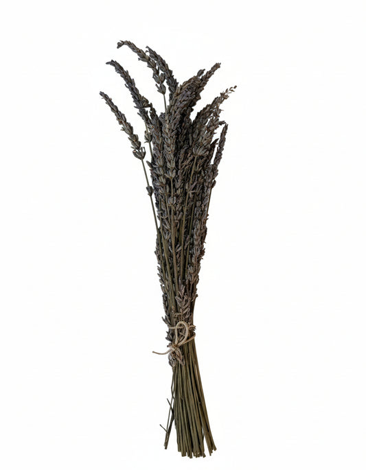 Lavender (sensational) whisk/bouquet, Tuscany herbs