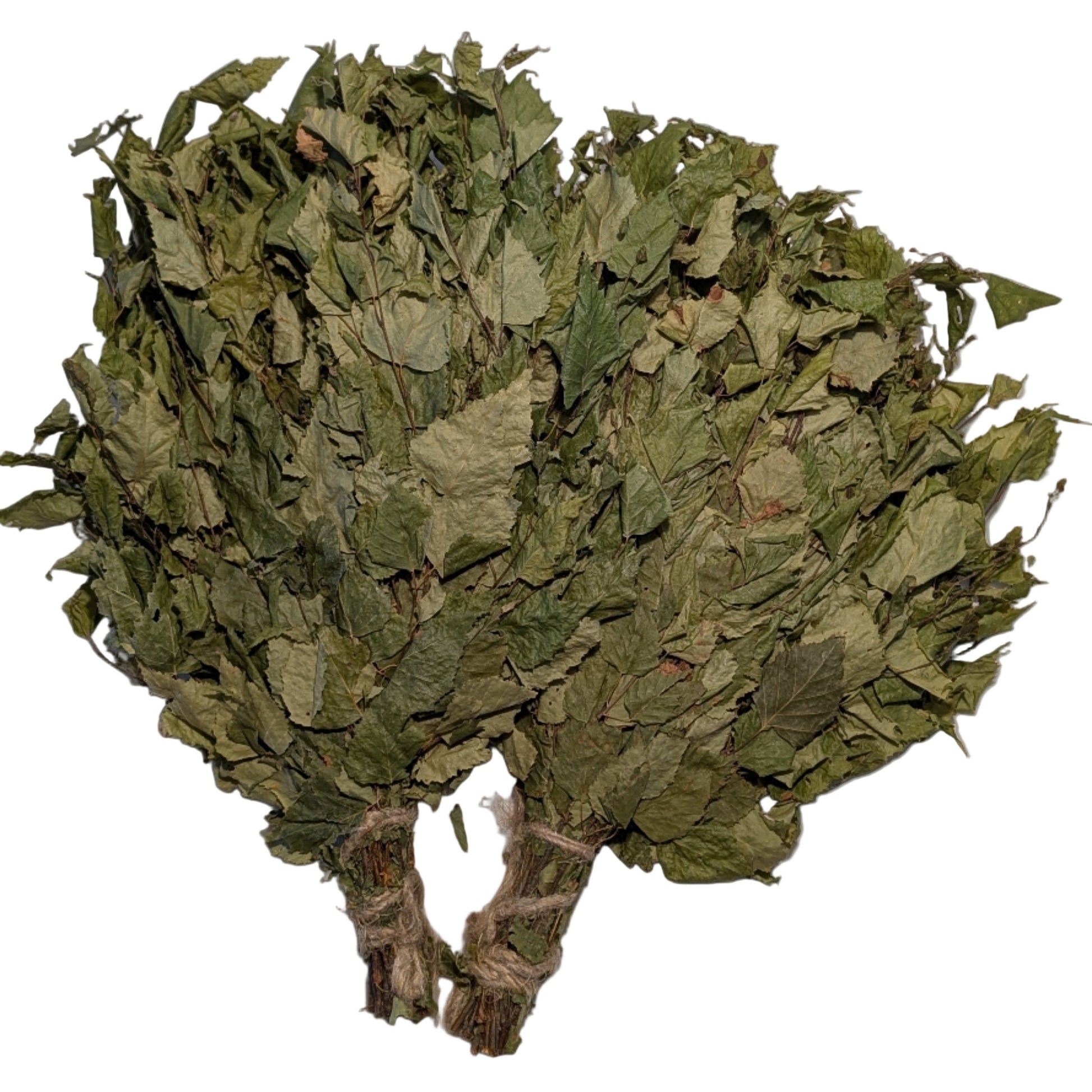 Bunch of dried green leaves on a light-colored floor