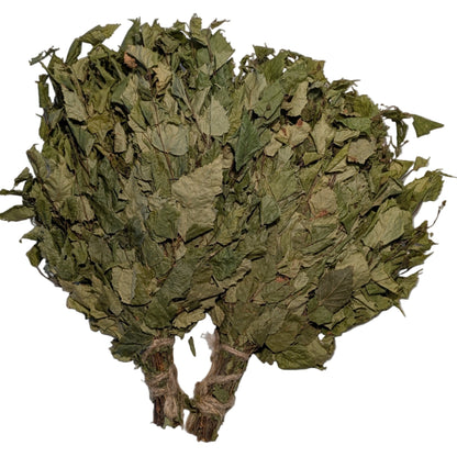Bunch of dried green leaves on a light-colored floor