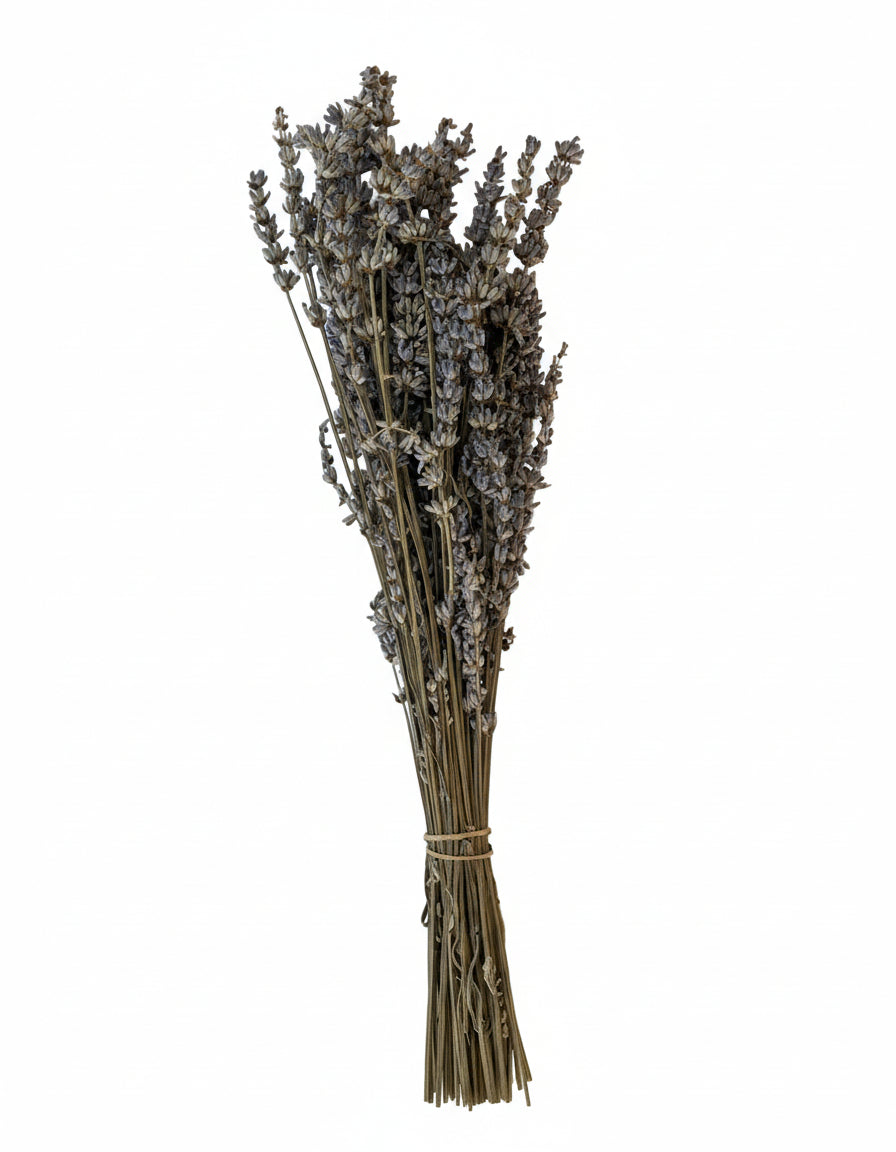 Lavender (True) whisk/bouquet, Tuscany herbs