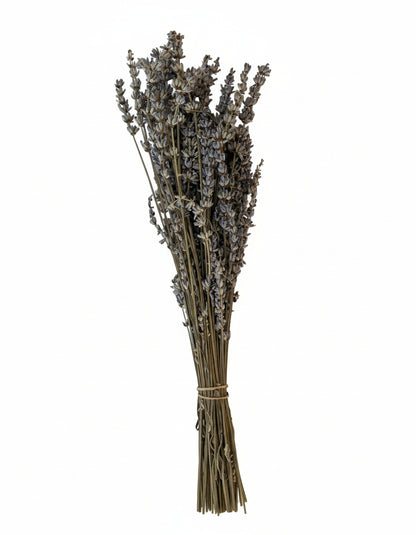 Lavender (True) whisk/bouquet, Tuscany herbs
