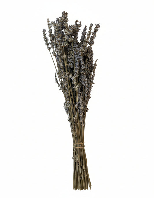 Lavender (True) whisk/bouquet, Tuscany herbs