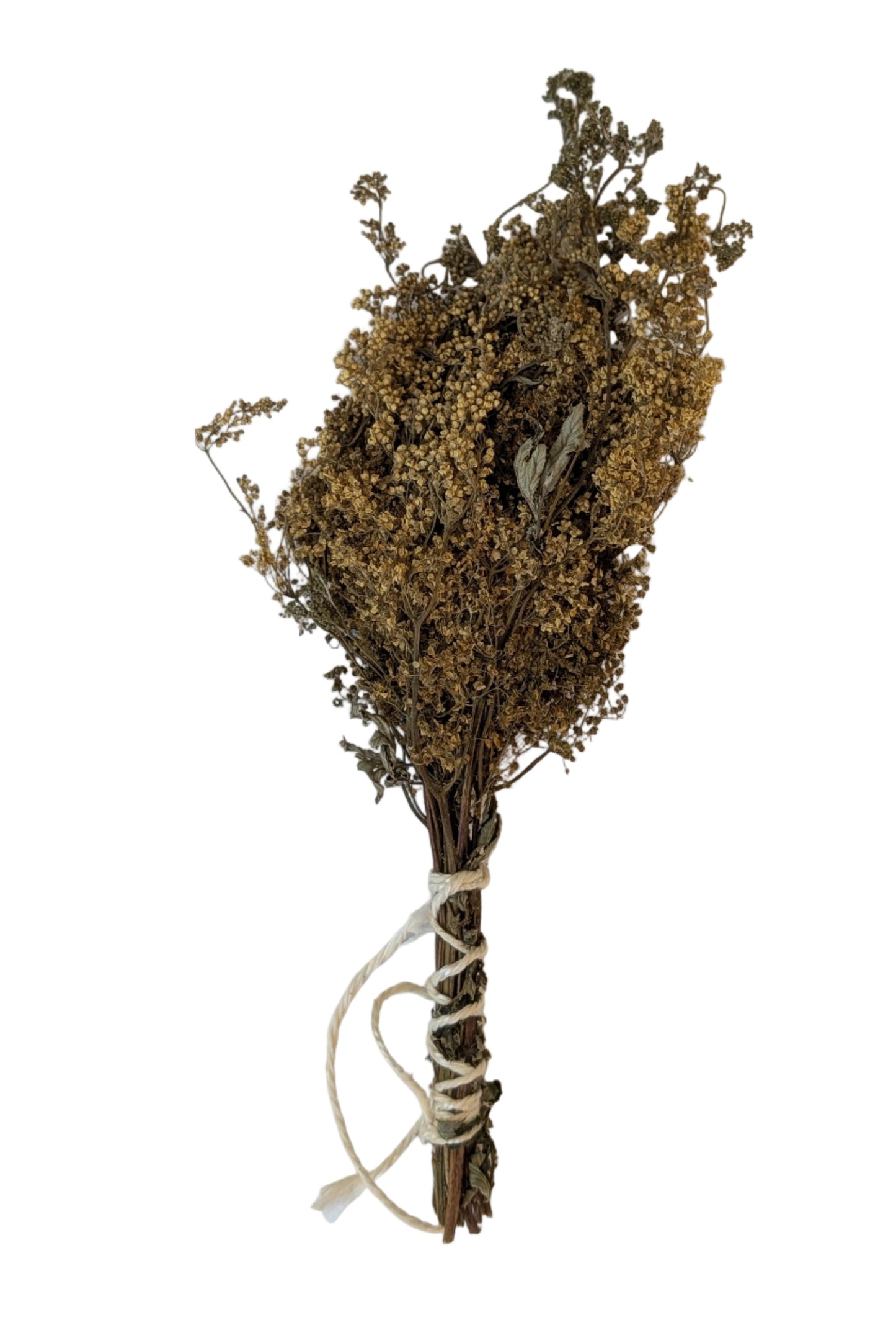 Meadowsweet  whisk/bouquet, Lithuania herbs