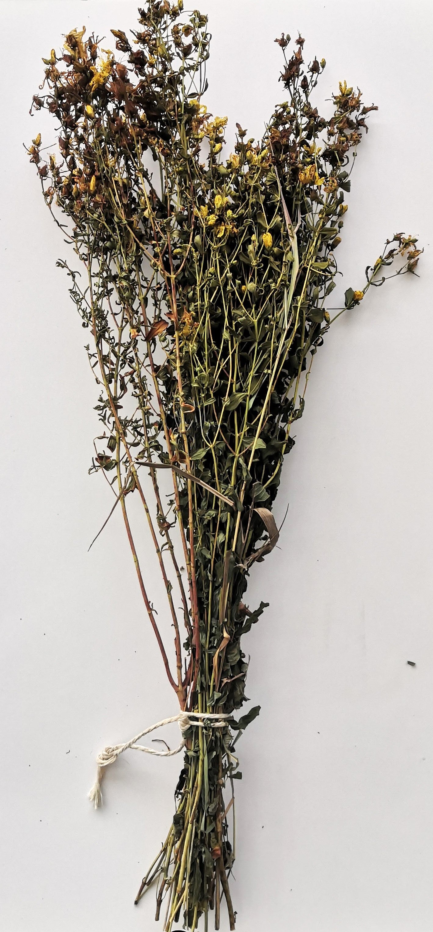 Sweet clover whisk/bouquet