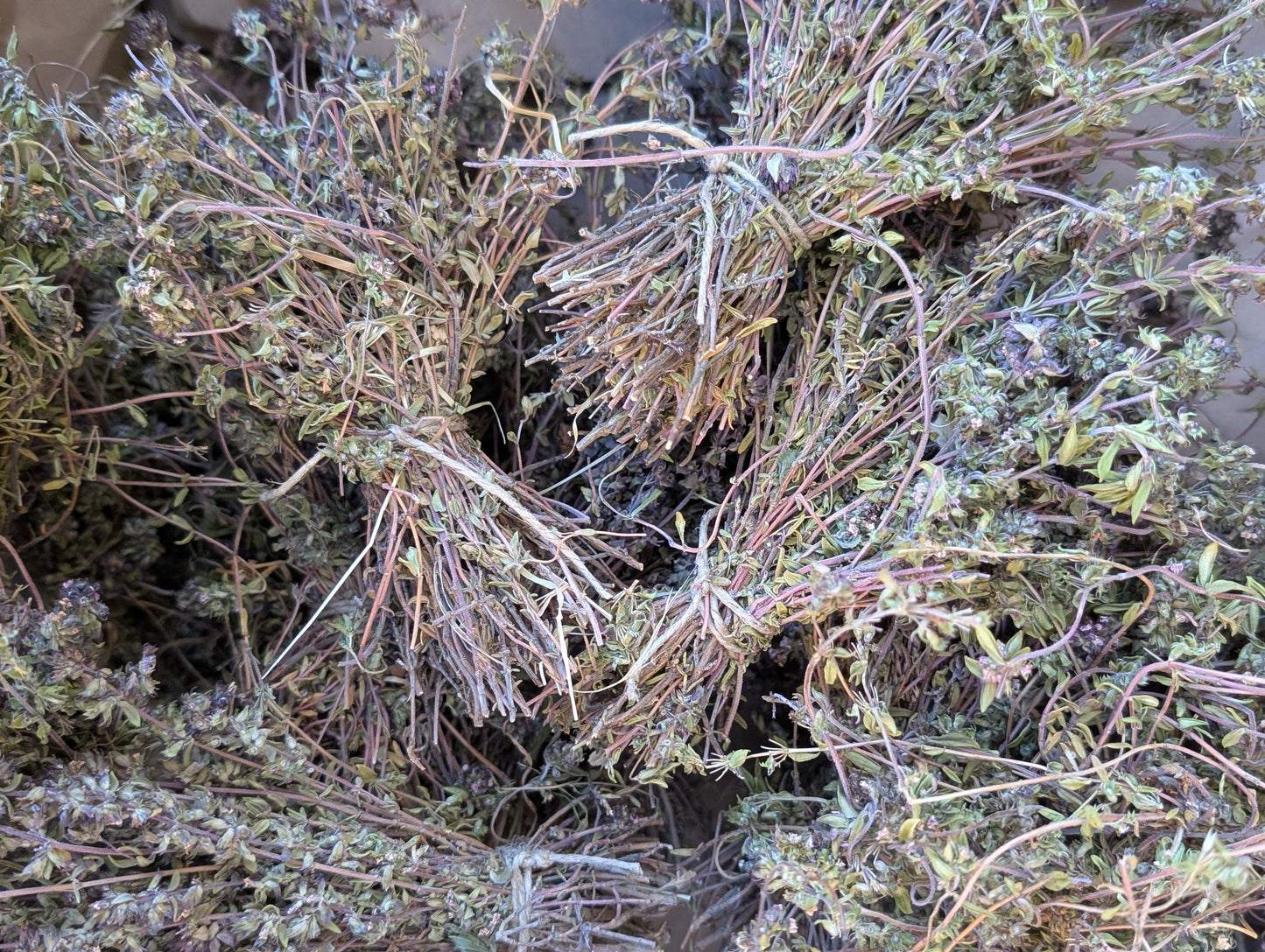 Wild Thyme whisk/bouquet, Tuscany herbs