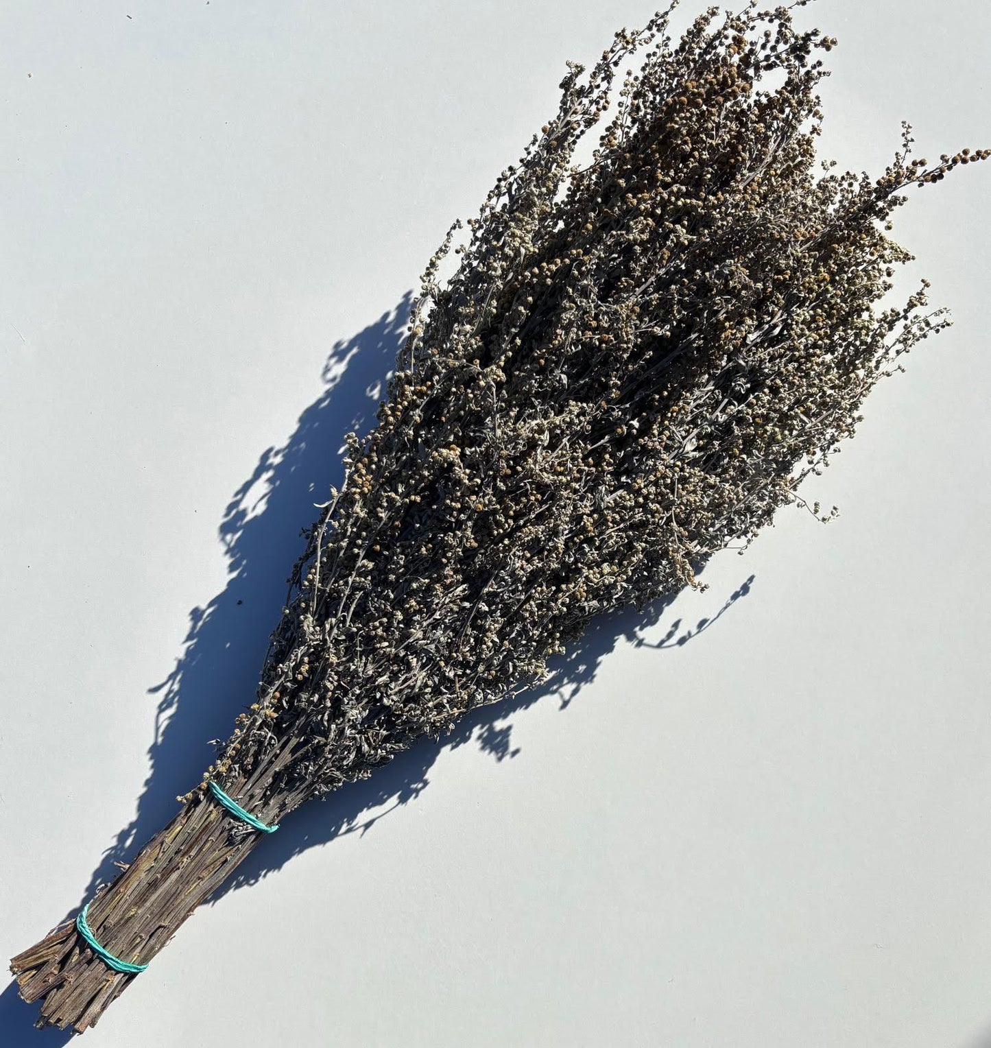 Common wormwood whisk/bouquet