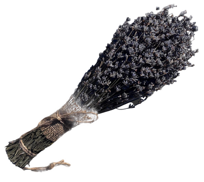 Bouquet of dried lavender tied with twine on a transparent background