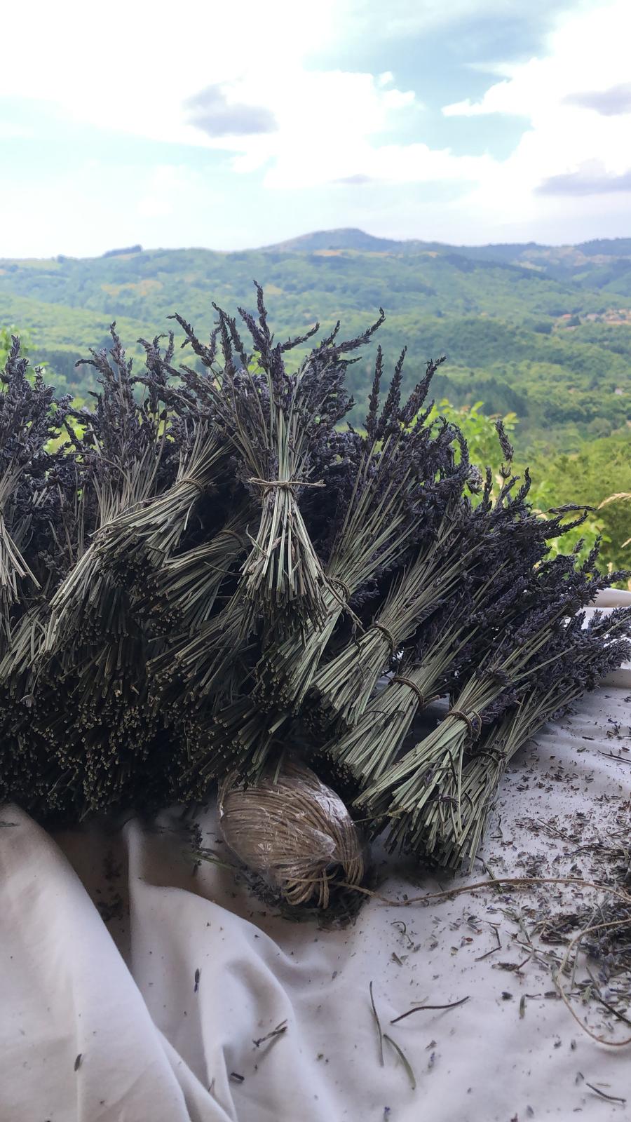 Lavender bath salt 500 GR, Tuscany herbs