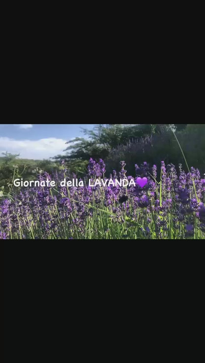 Lavender bath salt 500 GR, Tuscany herbs